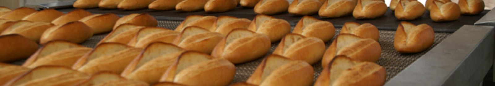 Esen Böcek İlaçlama