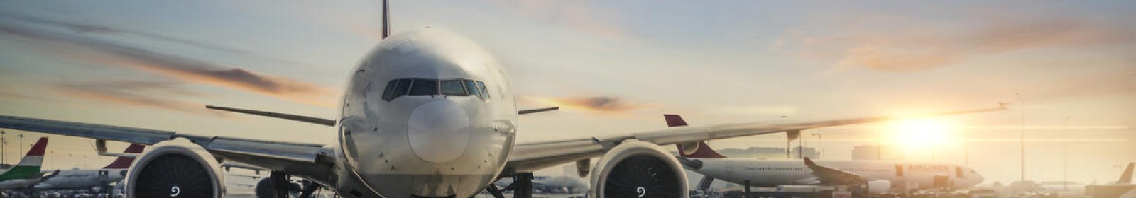 Esen Böcek İlaçlama